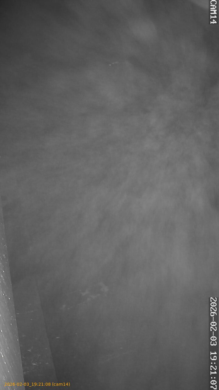 thumbnail_20260203192108