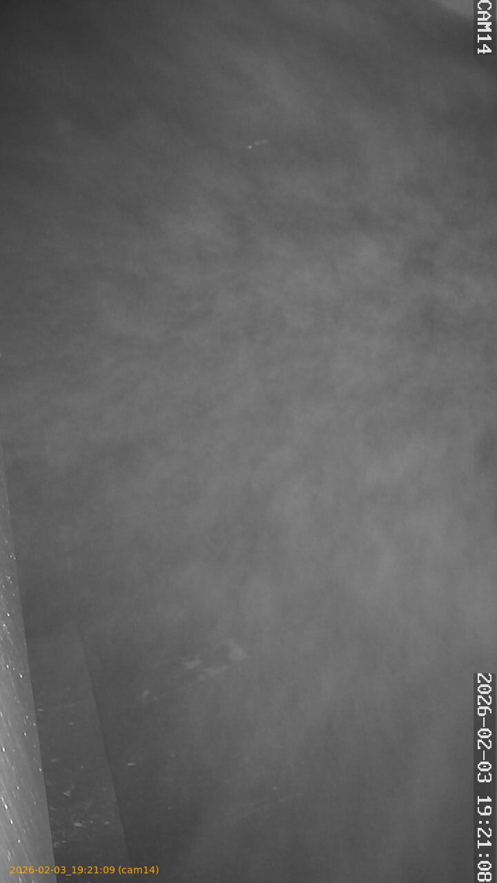 thumbnail_20260203192109