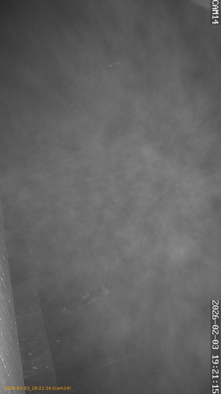 thumbnail_20260203192116