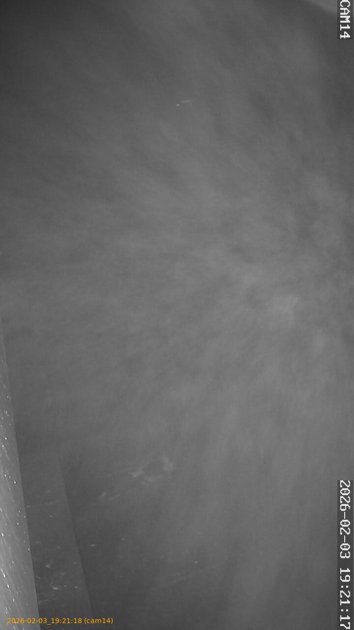 thumbnail_20260203192118