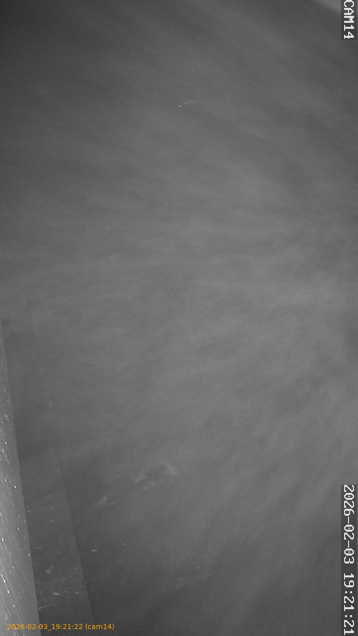 thumbnail_20260203192122