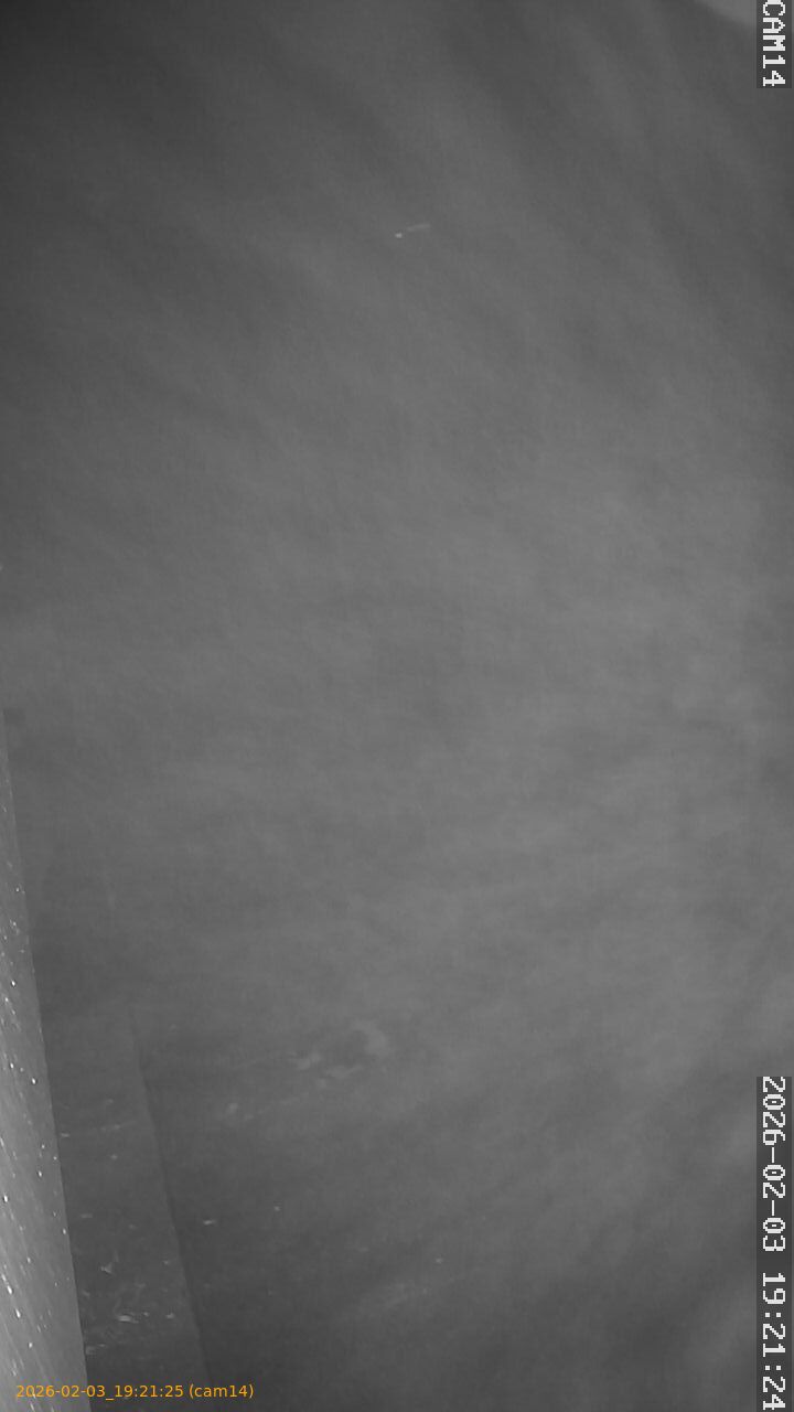 thumbnail_20260203192125