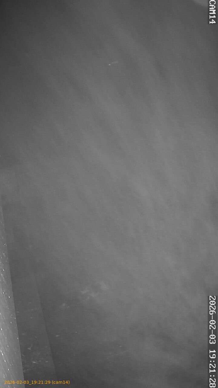 thumbnail_20260203192129