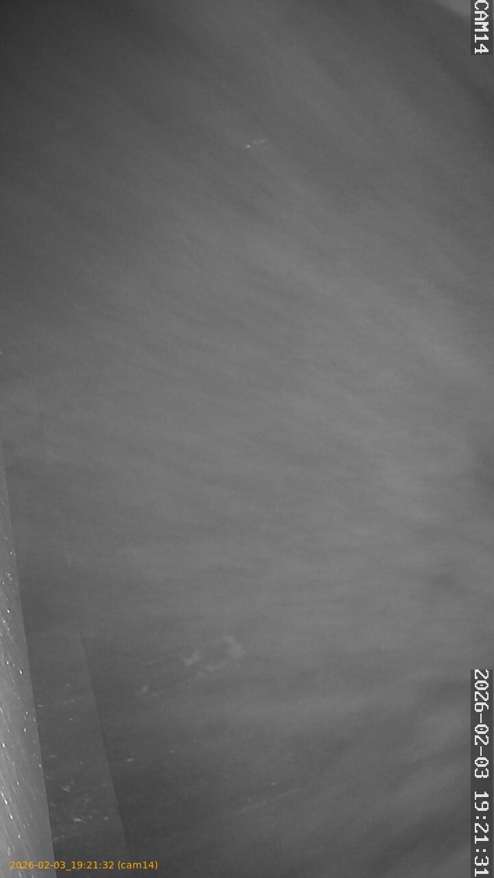 thumbnail_20260203192132