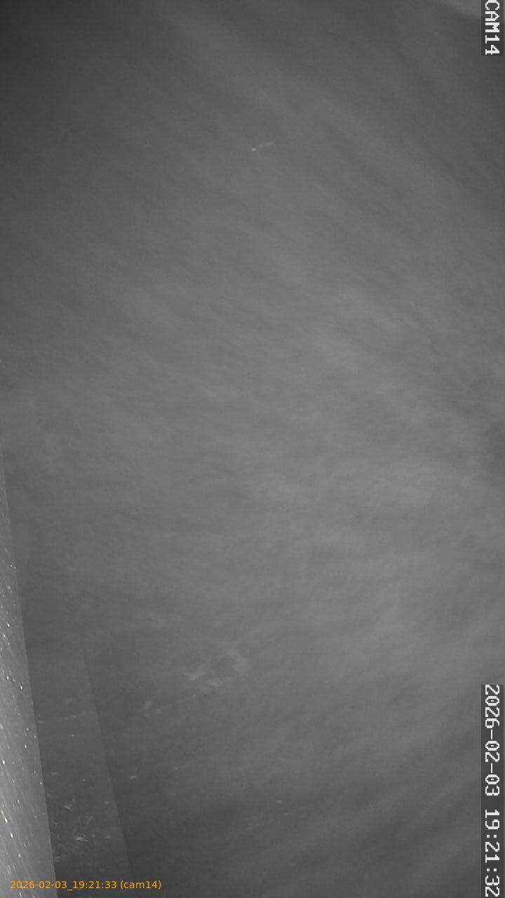 thumbnail_20260203192133