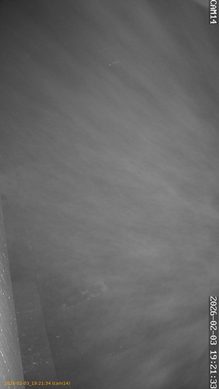 thumbnail_20260203192134