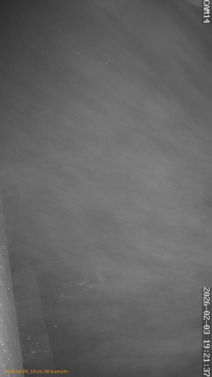 thumbnail_20260203192138