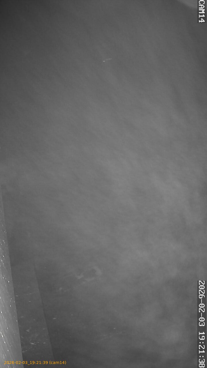 thumbnail_20260203192139