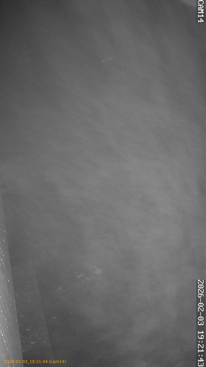 thumbnail_20260203192144