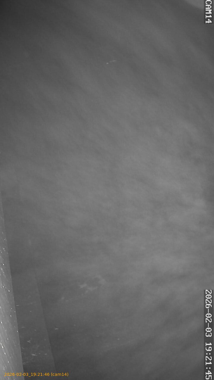 thumbnail_20260203192146