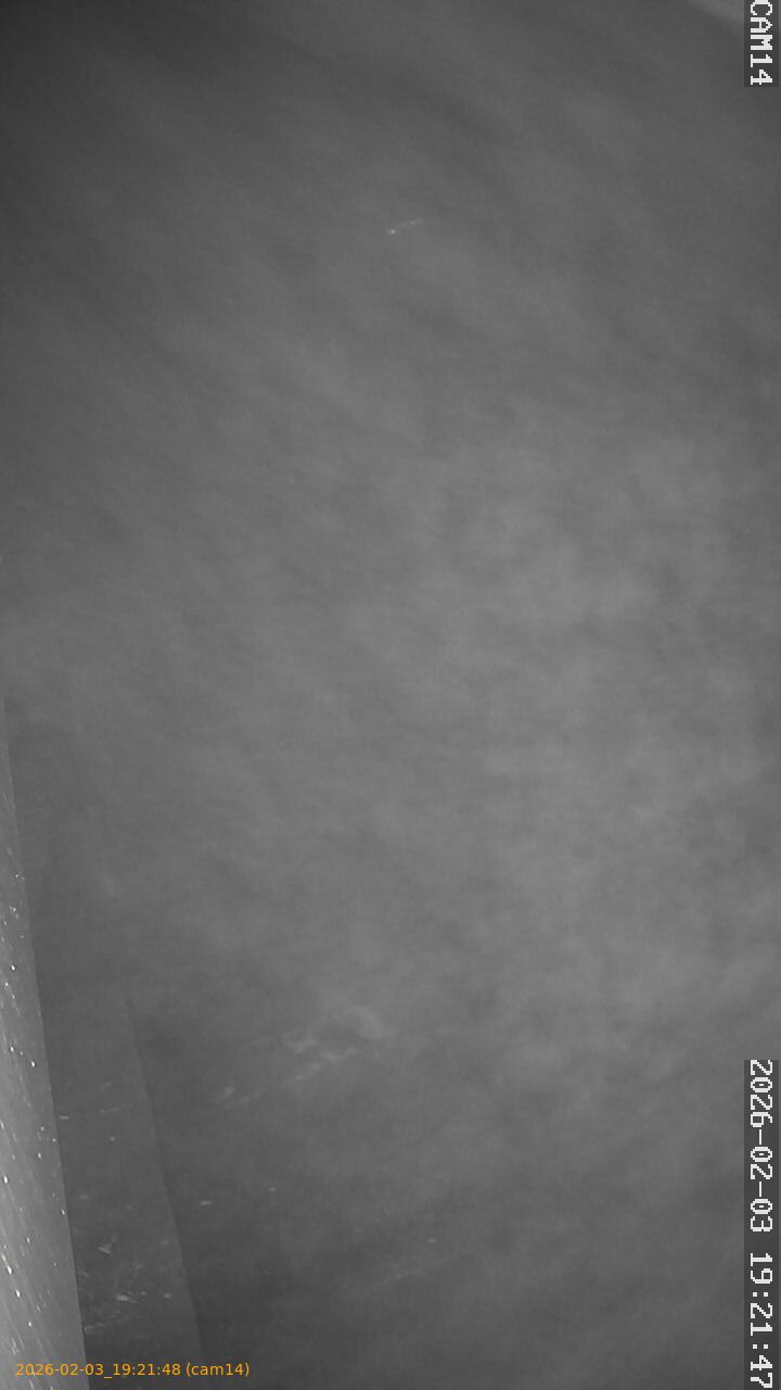 thumbnail_20260203192148