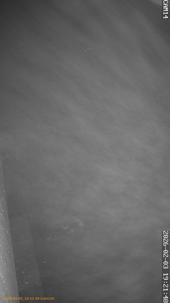 thumbnail_20260203192149