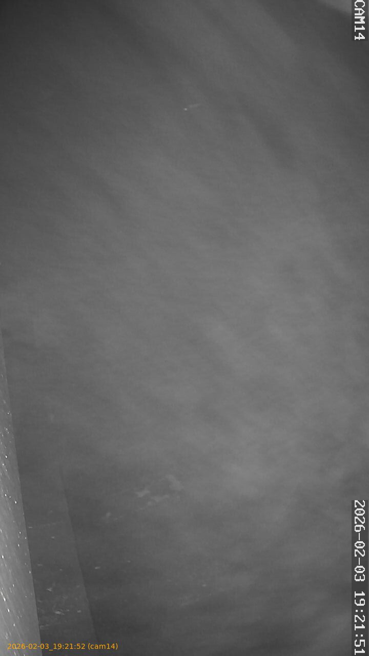 thumbnail_20260203192152