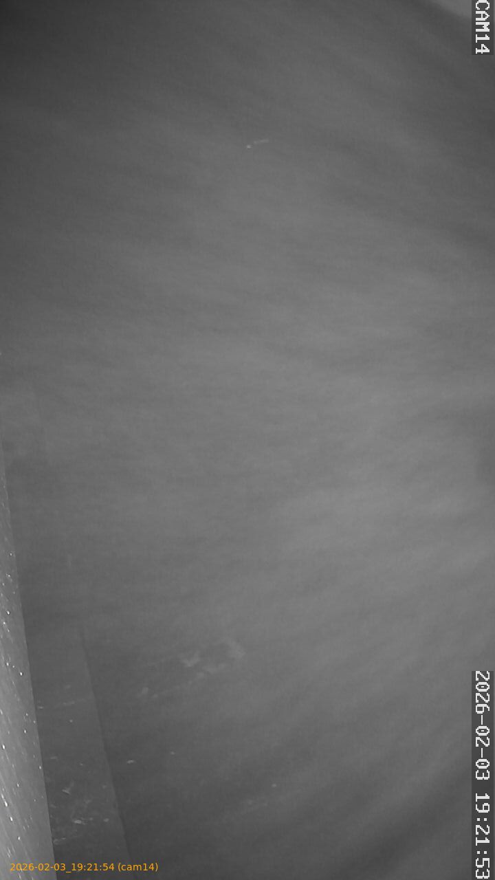 thumbnail_20260203192154