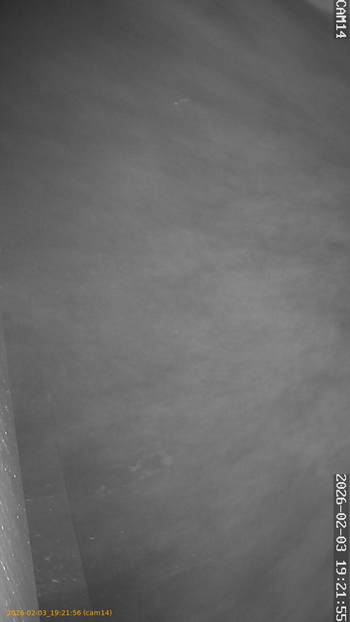 thumbnail_20260203192156