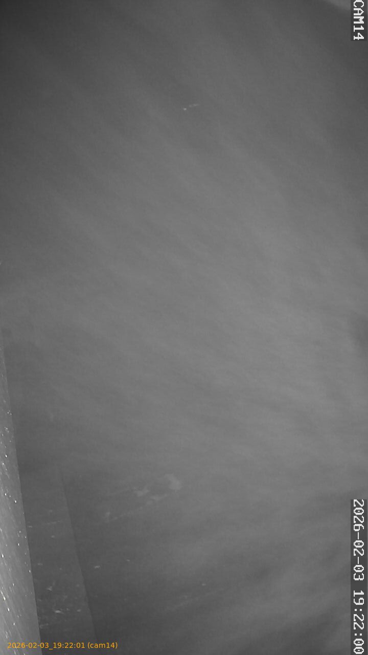 thumbnail_20260203192201