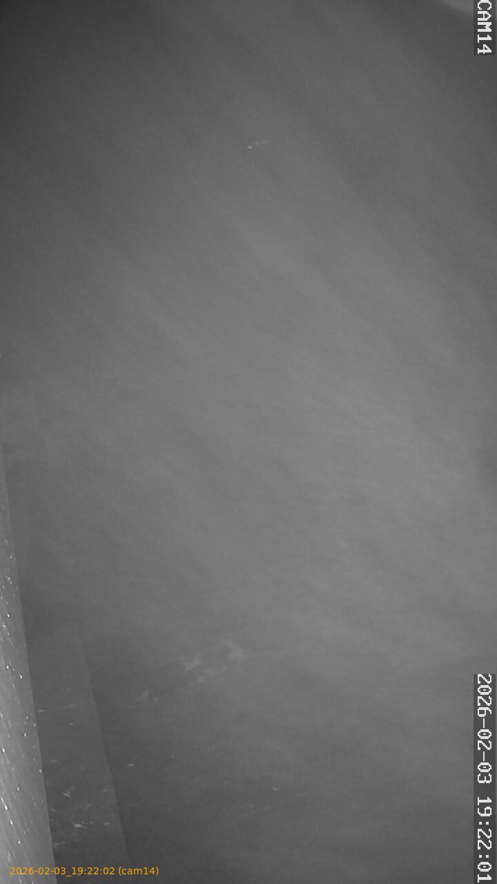 thumbnail_20260203192202