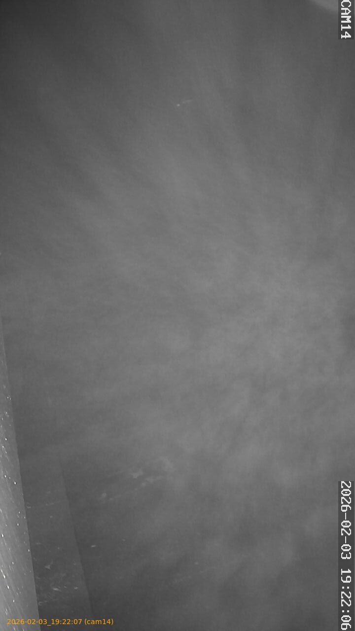 thumbnail_20260203192207