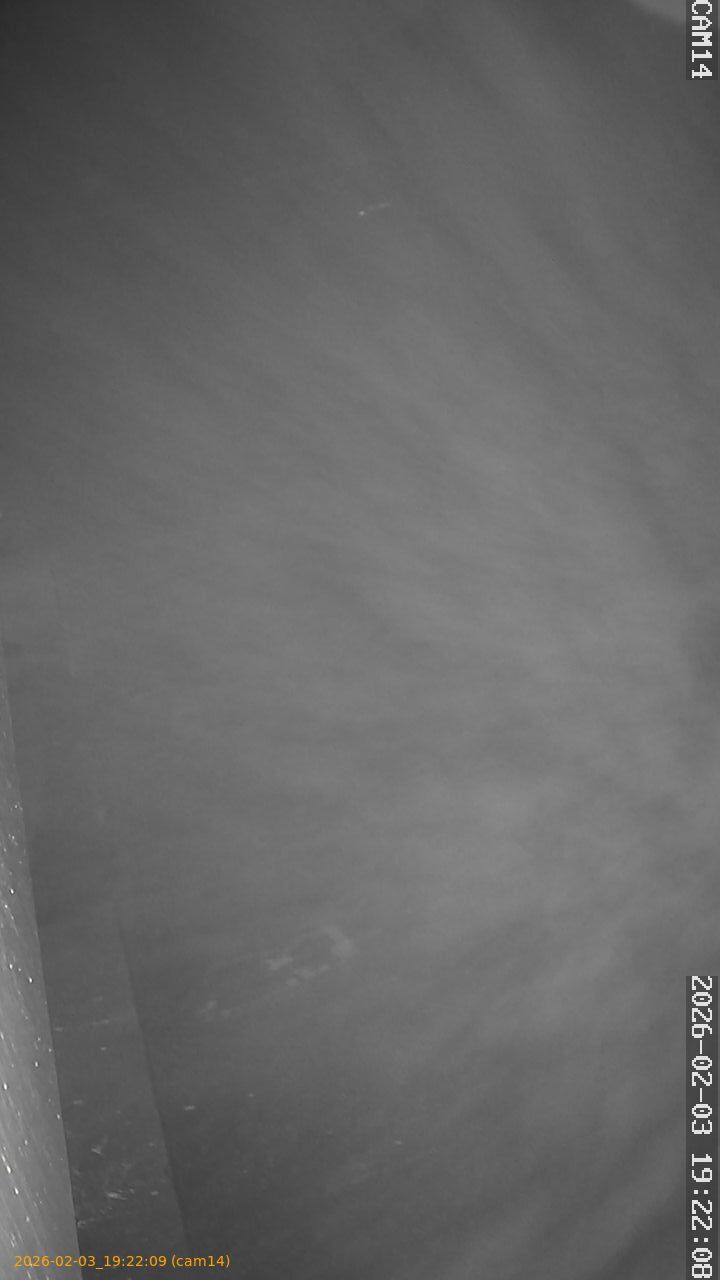 thumbnail_20260203192209