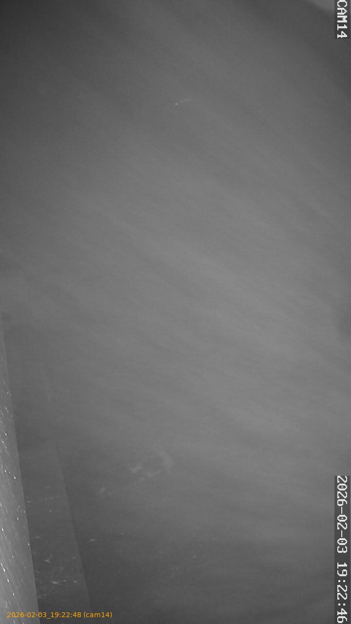 thumbnail_20260203192247