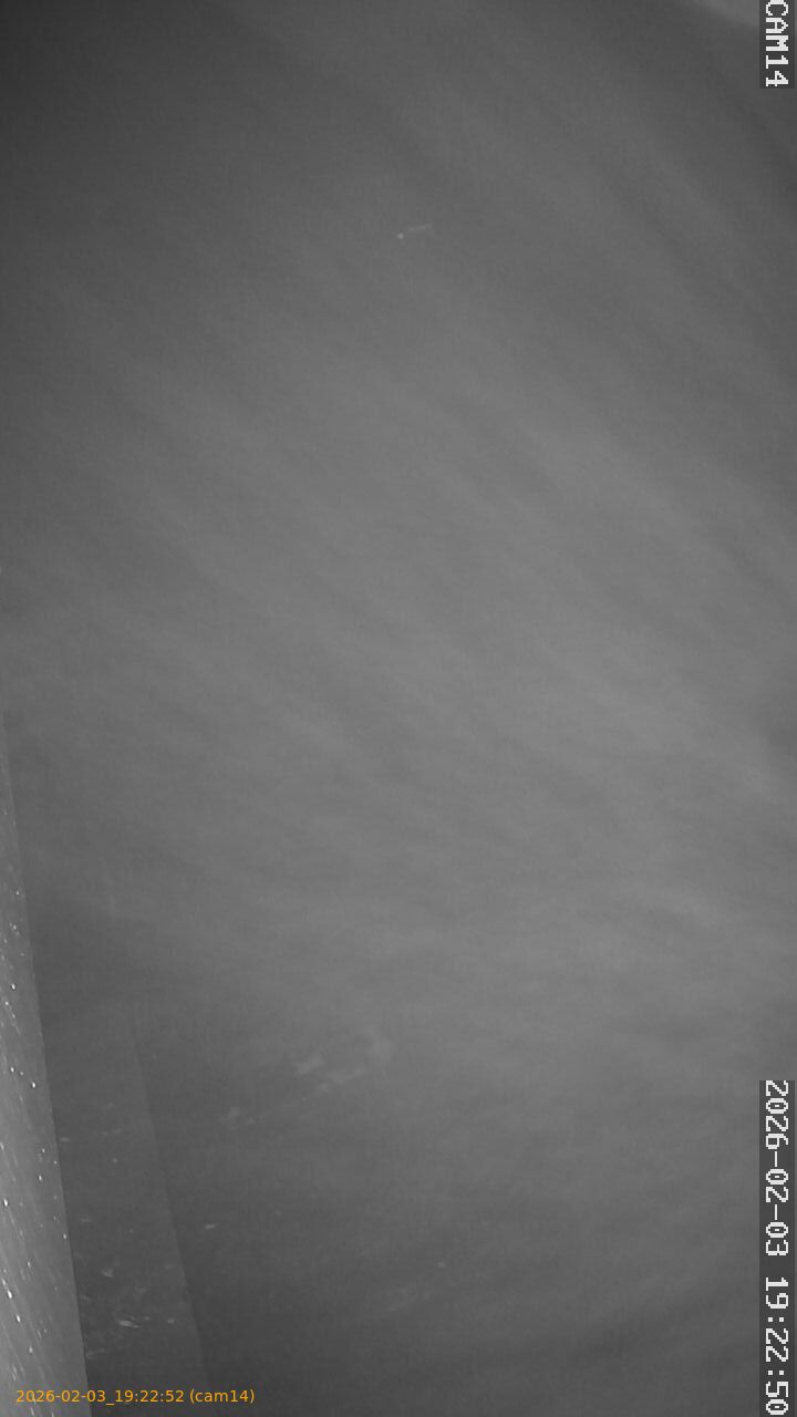 thumbnail_20260203192252