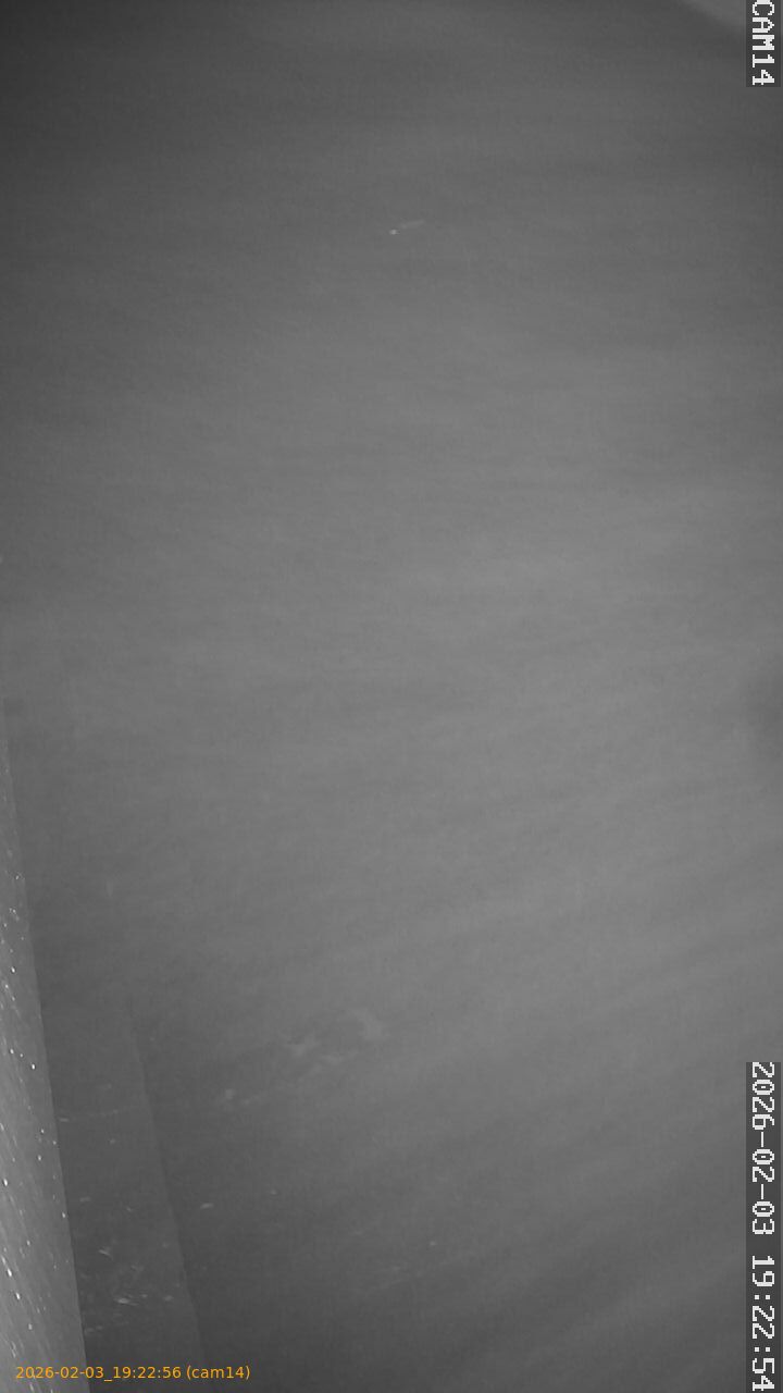 thumbnail_20260203192256