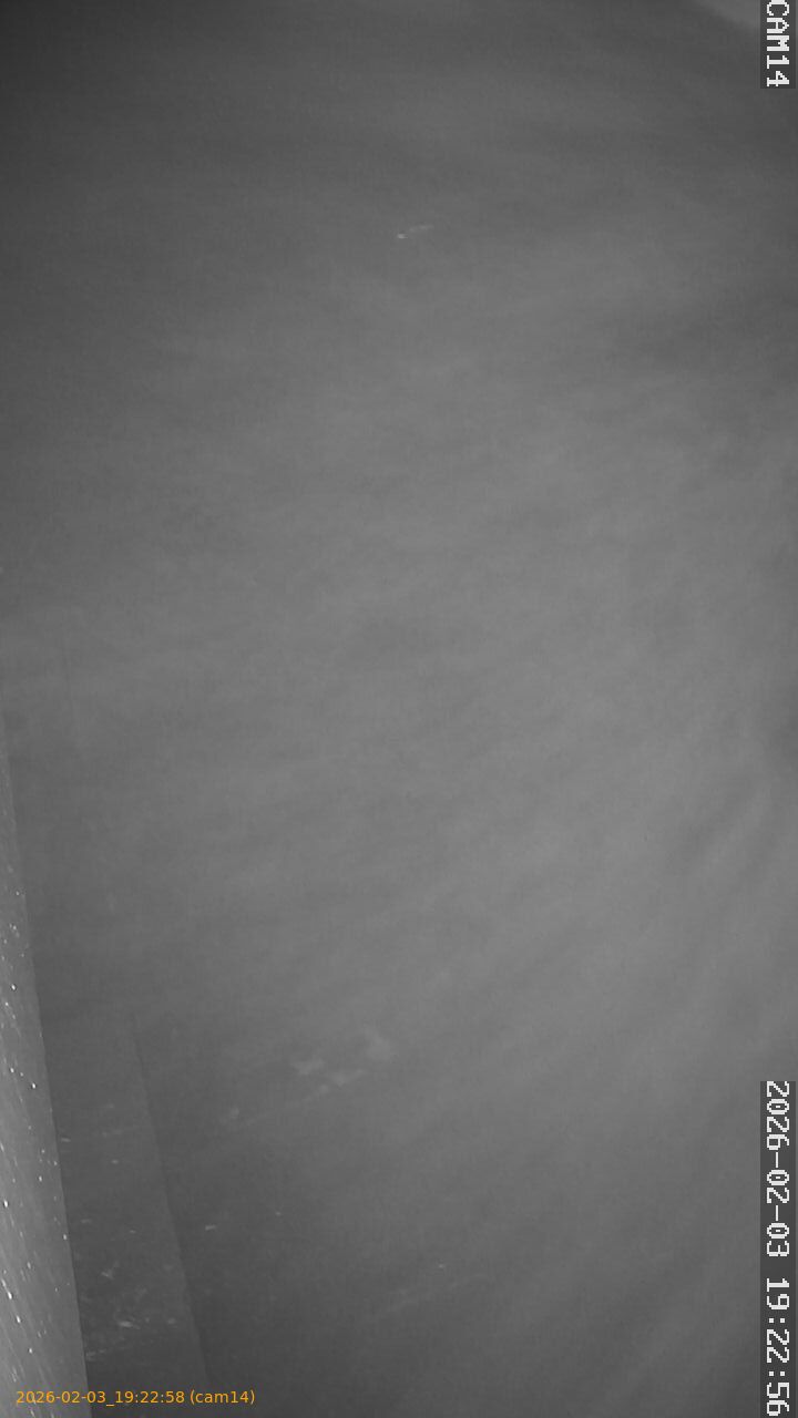 thumbnail_20260203192258