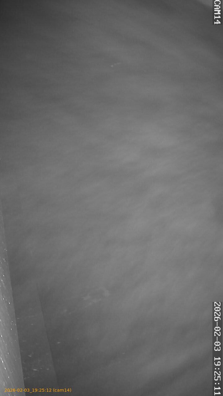 thumbnail_20260203192512