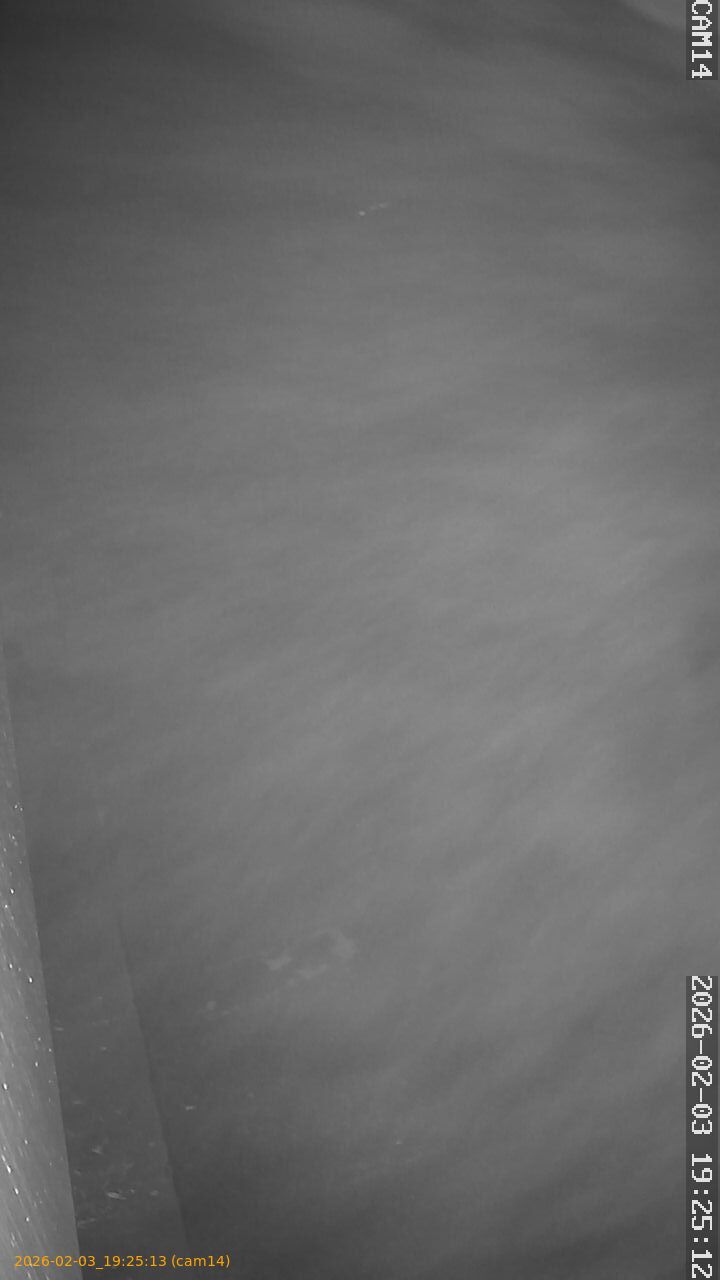 thumbnail_20260203192513