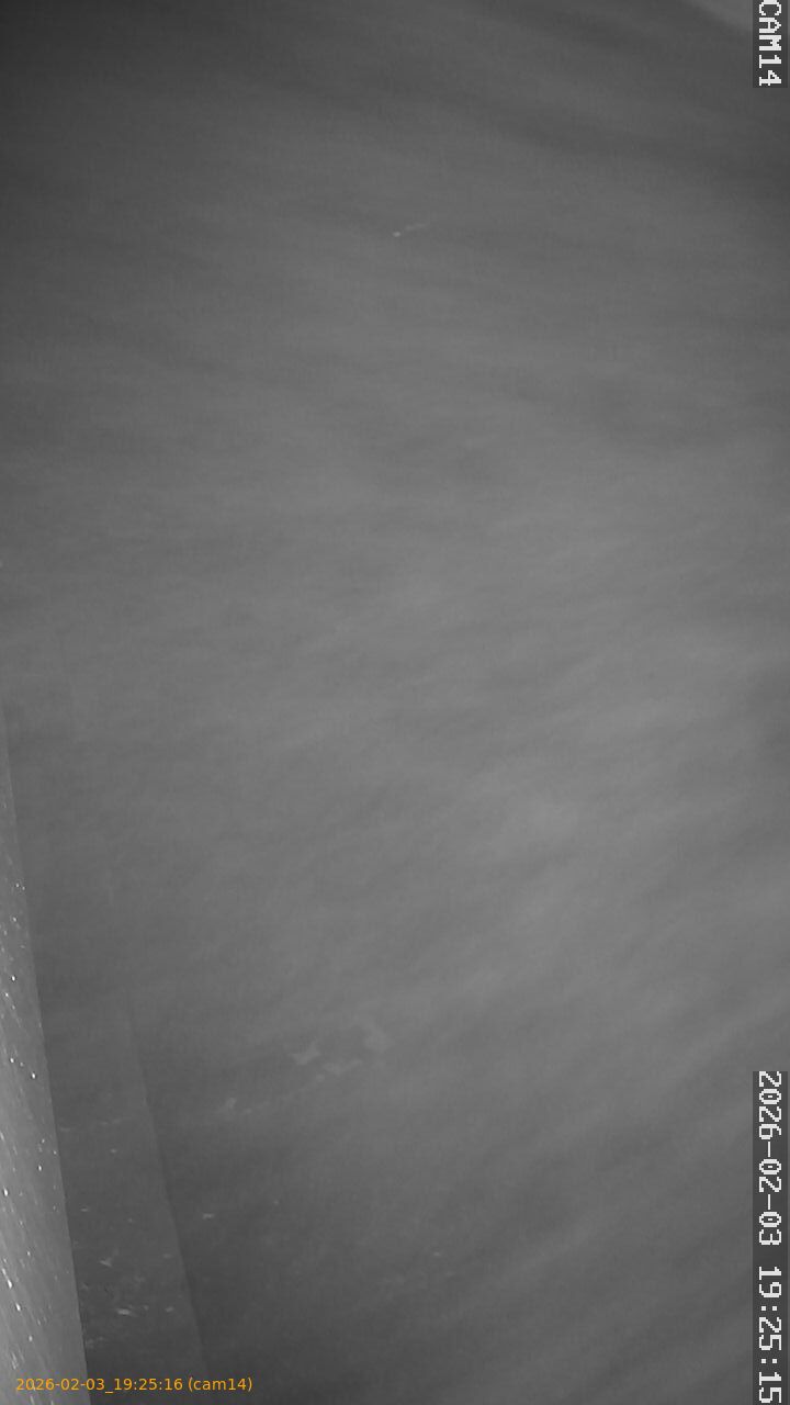 thumbnail_20260203192516