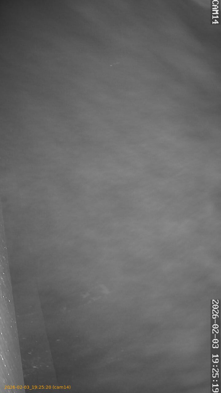 thumbnail_20260203192520