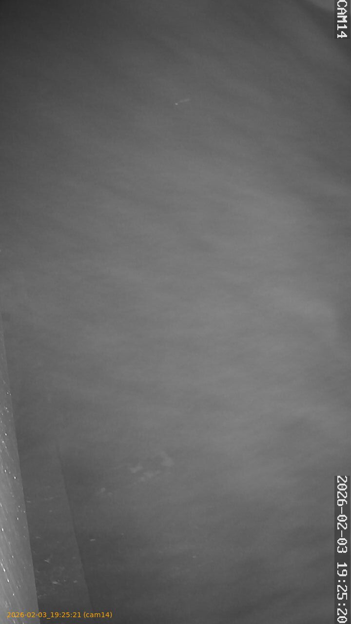 thumbnail_20260203192521