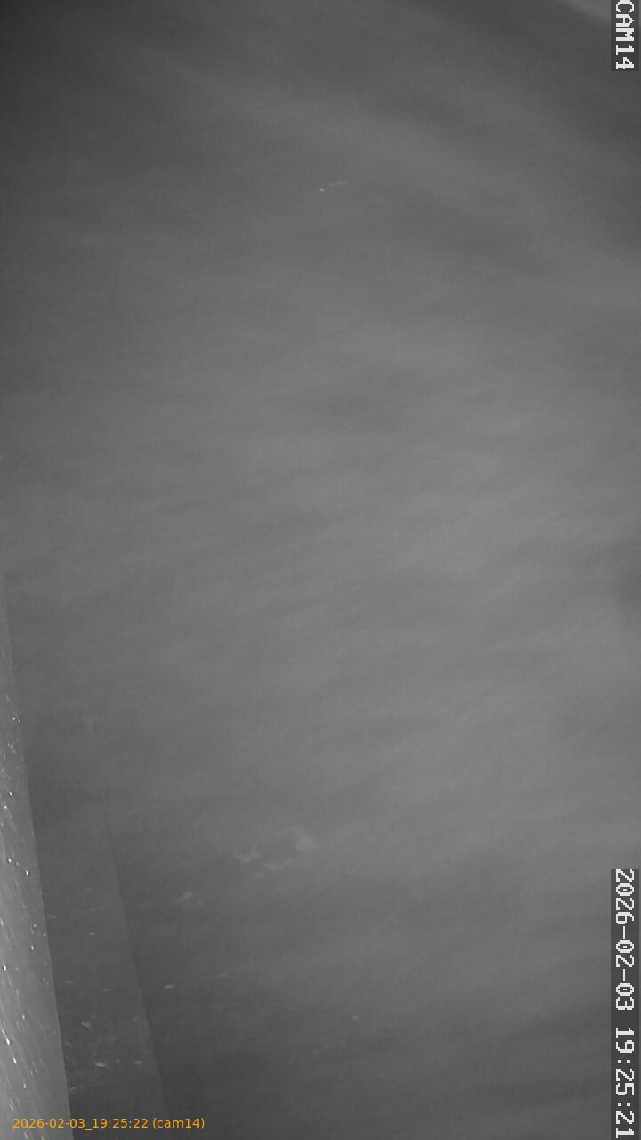 thumbnail_20260203192522