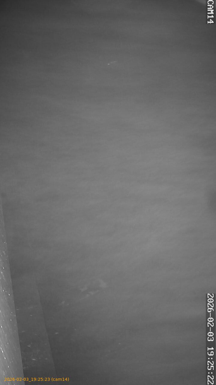 thumbnail_20260203192523