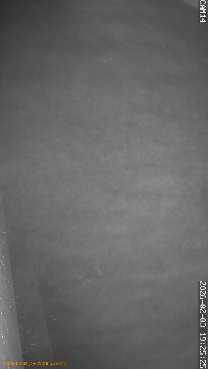 thumbnail_20260203192526