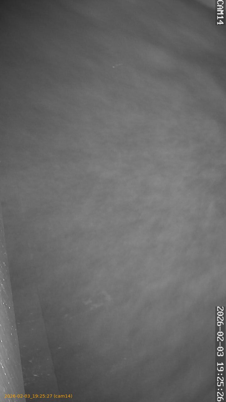 thumbnail_20260203192527