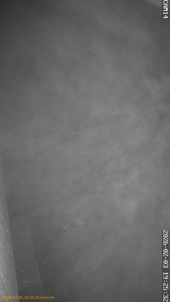 thumbnail_20260203192533