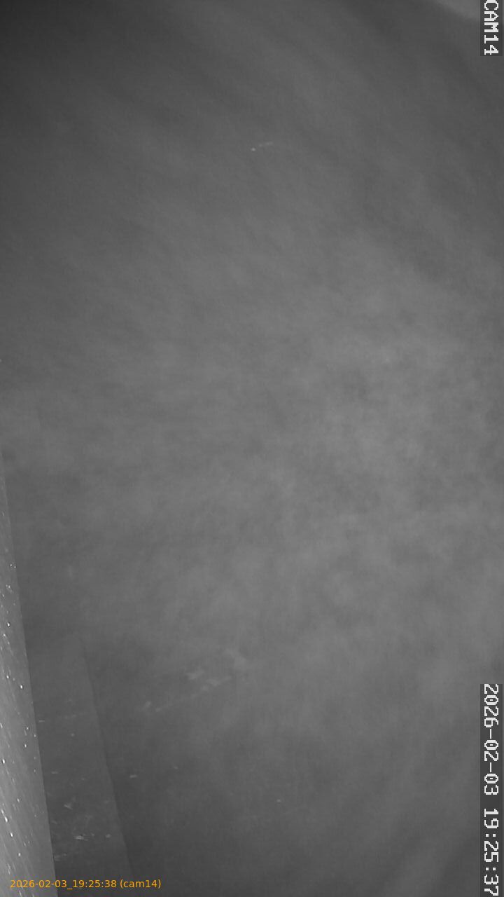 thumbnail_20260203192538