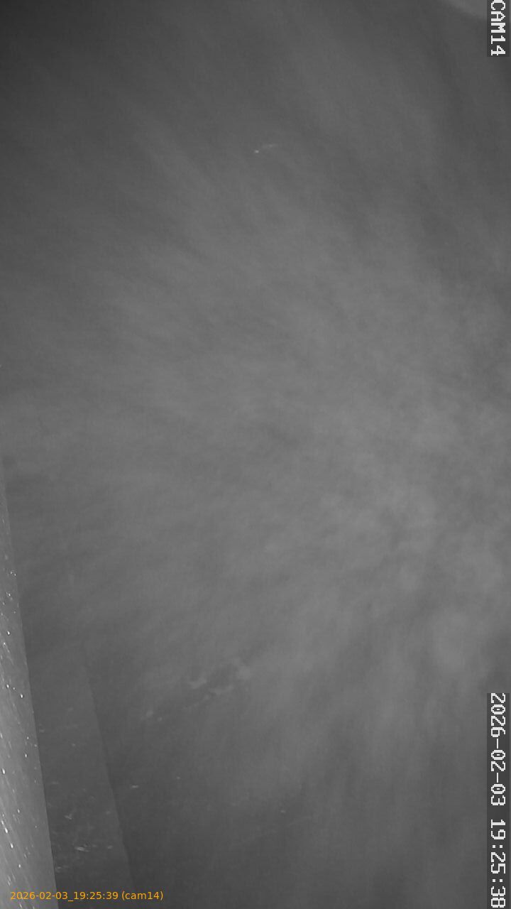 thumbnail_20260203192539