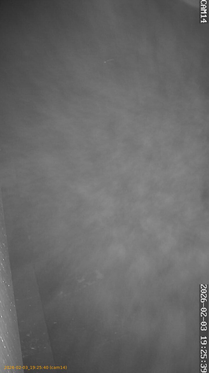 thumbnail_20260203192540