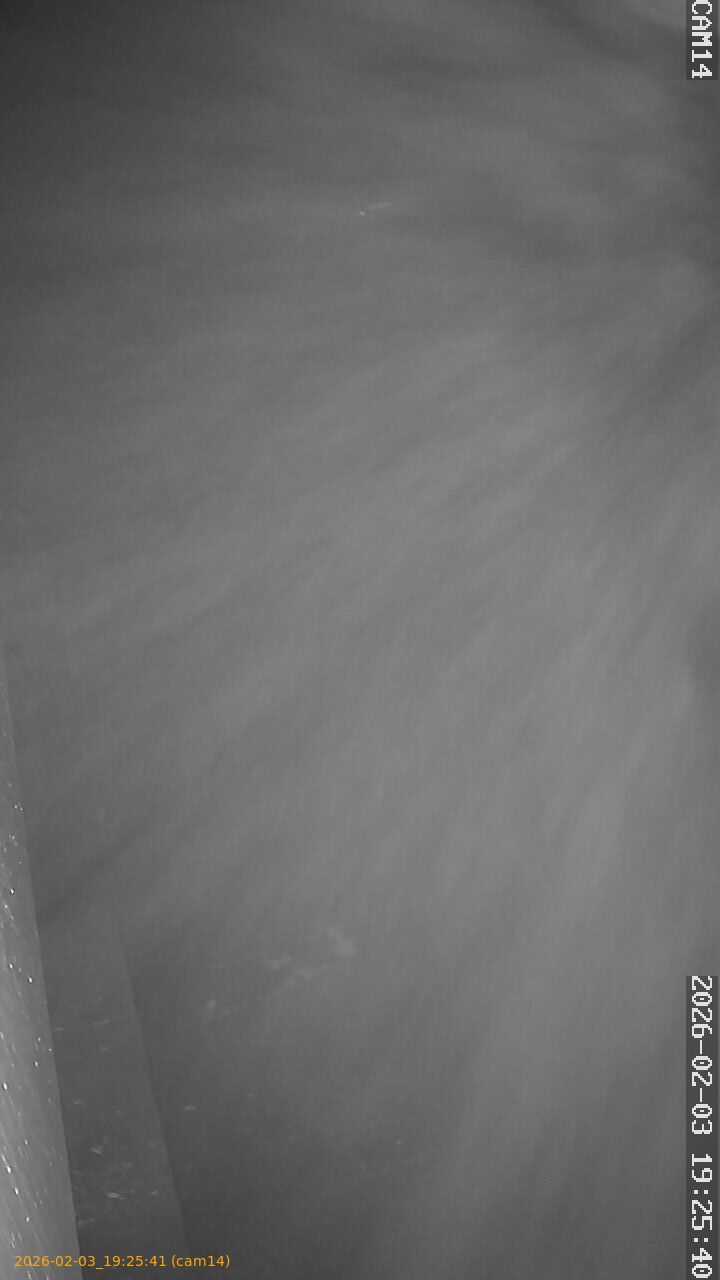 thumbnail_20260203192541