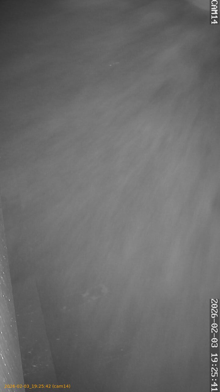 thumbnail_20260203192542