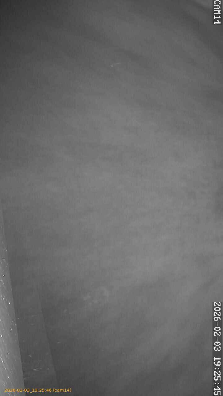 thumbnail_20260203192546