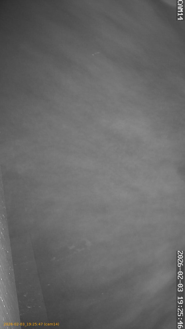 thumbnail_20260203192547