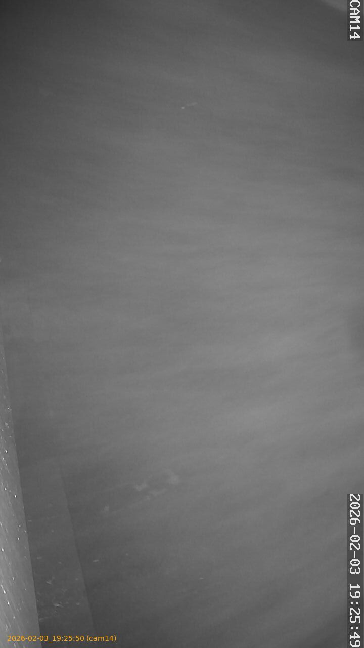 thumbnail_20260203192550