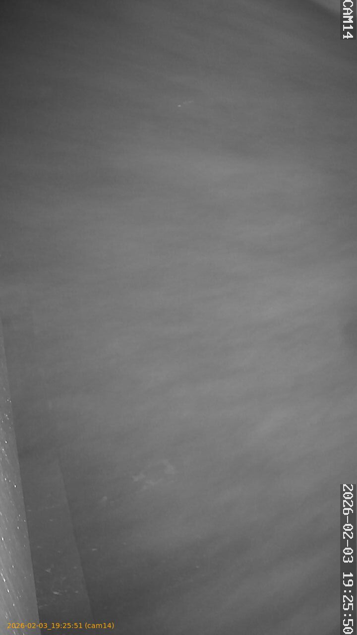 thumbnail_20260203192551