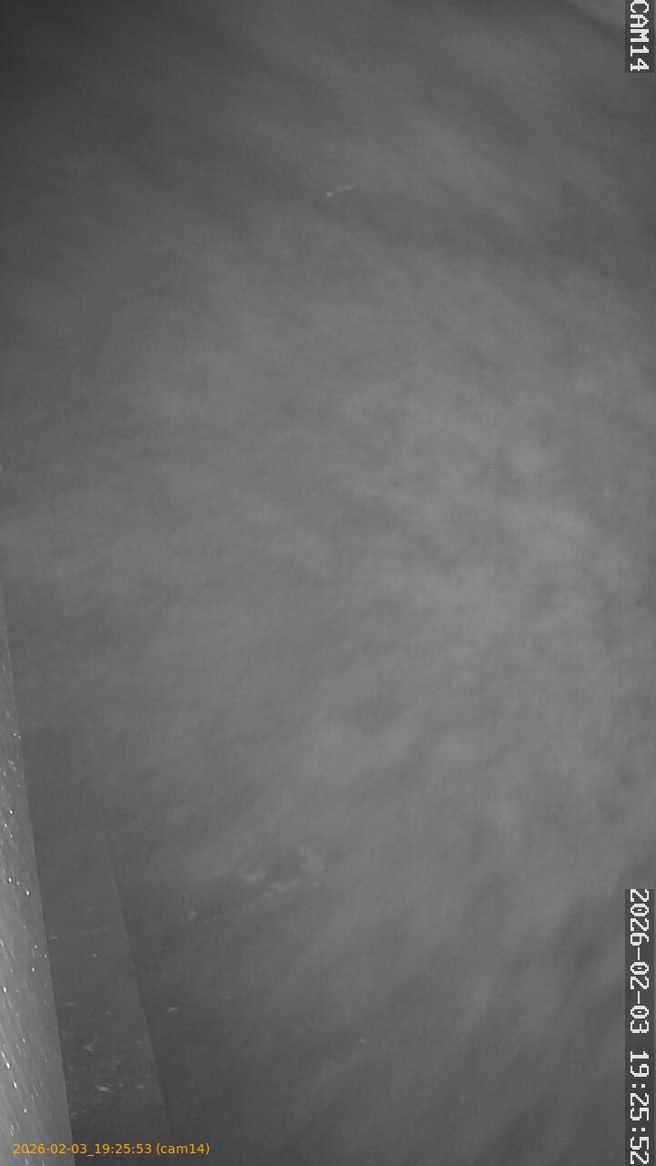 thumbnail_20260203192553