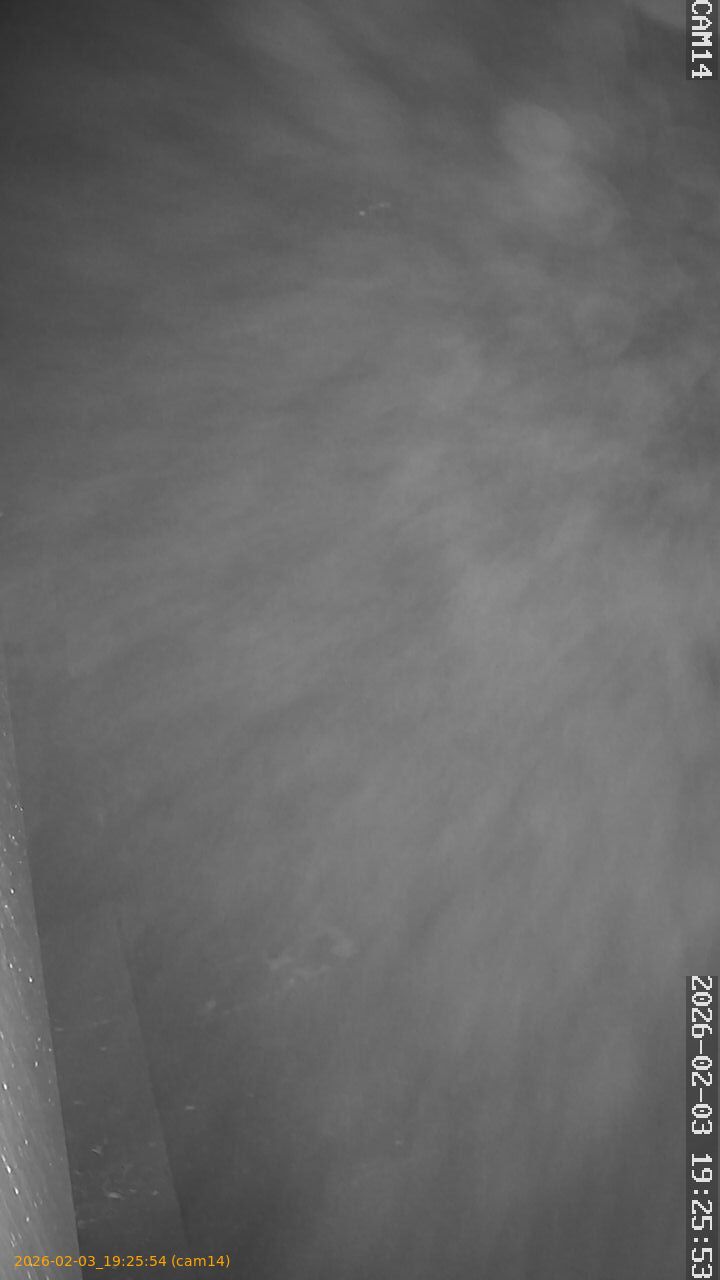 thumbnail_20260203192554