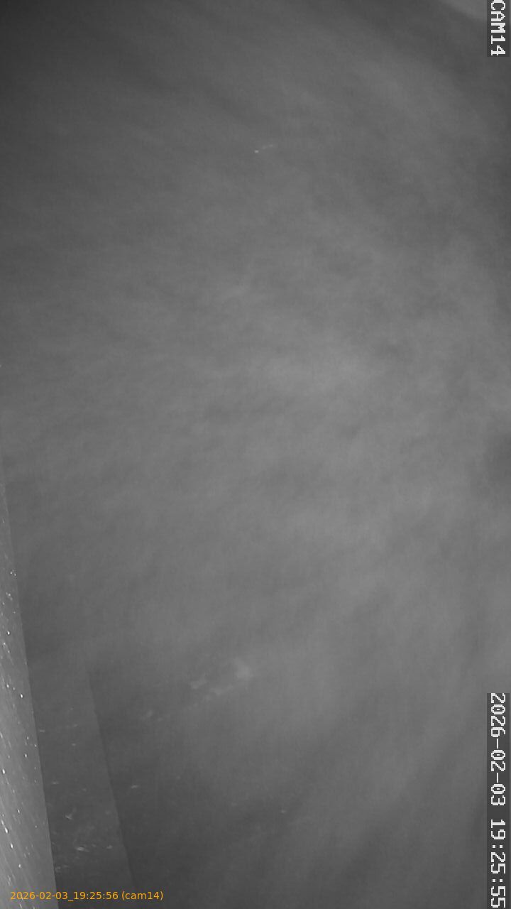 thumbnail_20260203192556