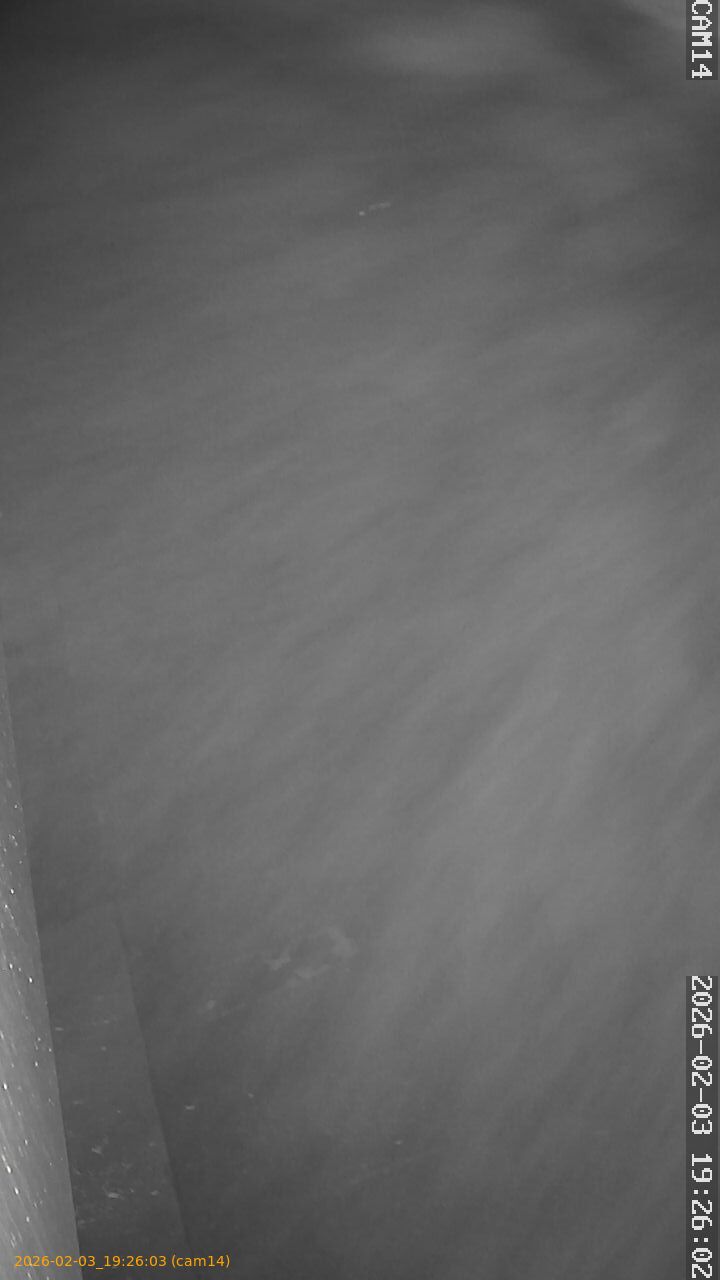 thumbnail_20260203192603